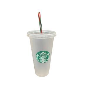 Starbucks Reusable Frosted Plastic Cold Cup With Lid and Straw
